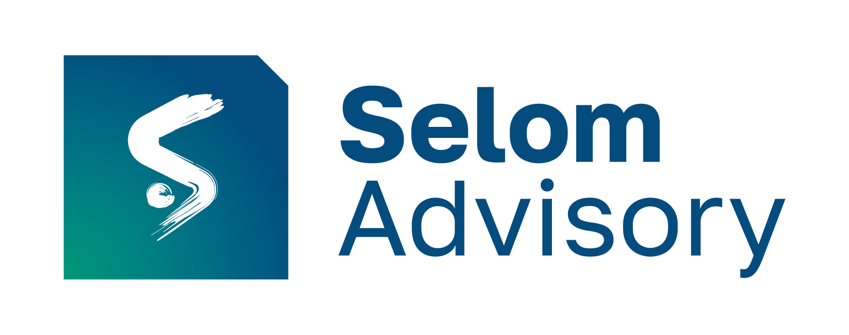 Logo selom-advisory