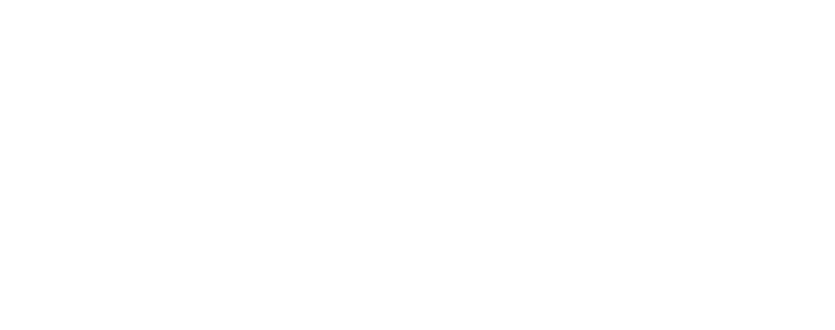 Selom Advisory Logo